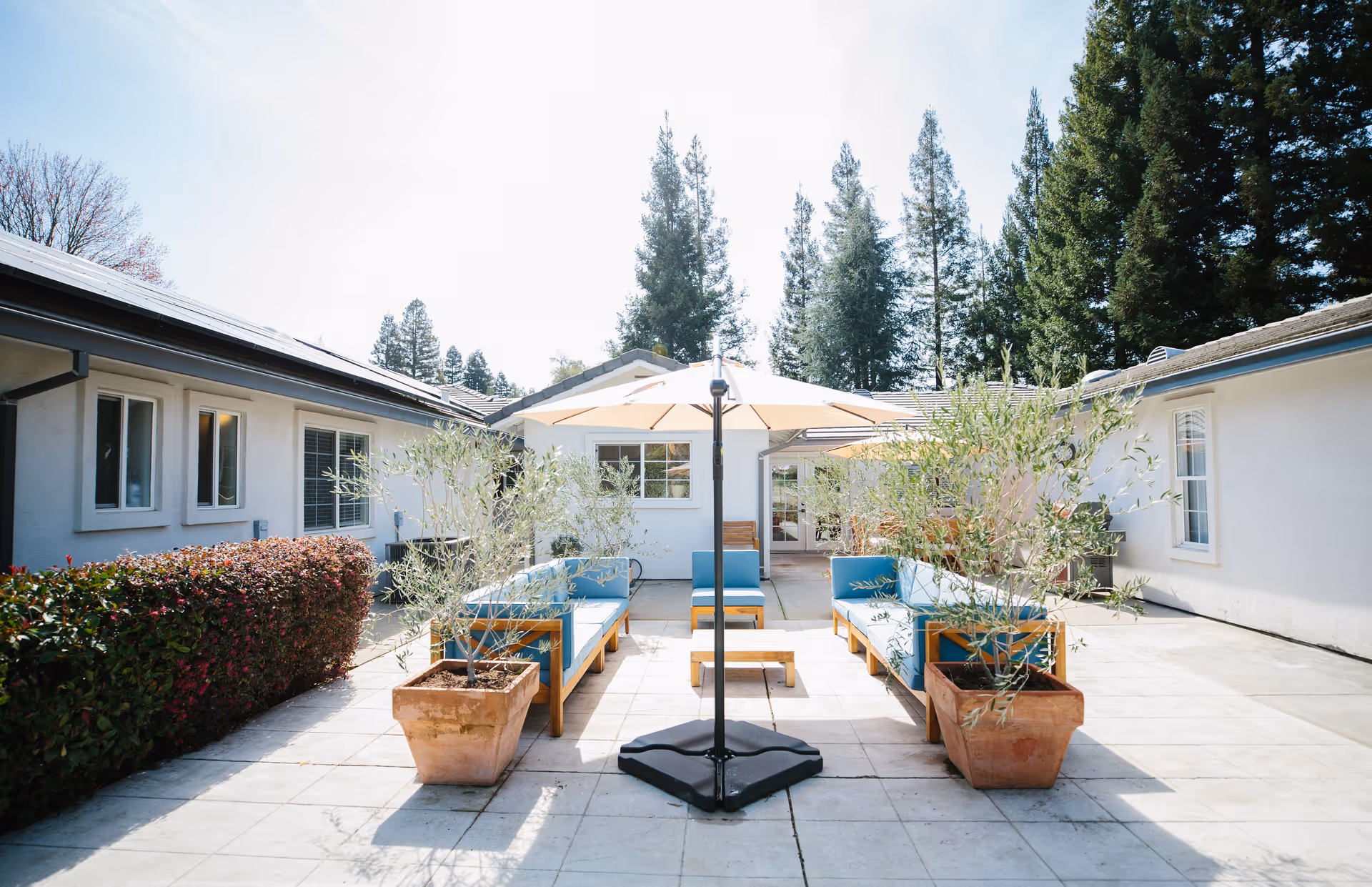 Outdoor courtyard area with two blue cushioned wooden benches facing each other, a large beige umbrella in the center, potted plants on either side, surrounded by white buildings and tall evergreen trees in the background under a clear sky.
