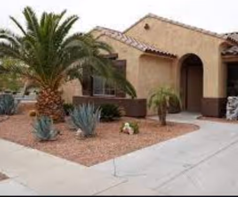 Single-story stucco home with a tiled roof, desert landscaping, and a palm tree by the front entrance.
