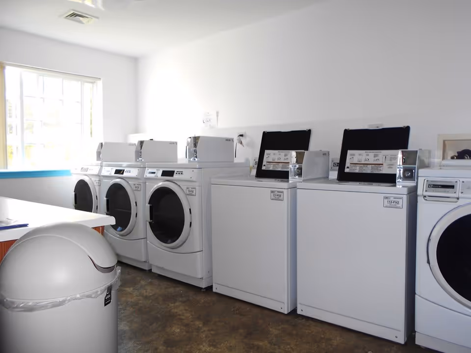 Laundry room with multiple white washing machines and dryers lined up against a white wall, a large window letting in natural light, and a white trash can in the foreground.