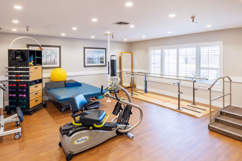 A bright physical therapy room with wooden flooring featuring exercise equipment including a NuStep recumbent cross trainer, parallel bars for walking practice, a padded therapy table with a yellow exercise ball, a rack with various dumbbells, and a large window with white shutters letting in natural light.