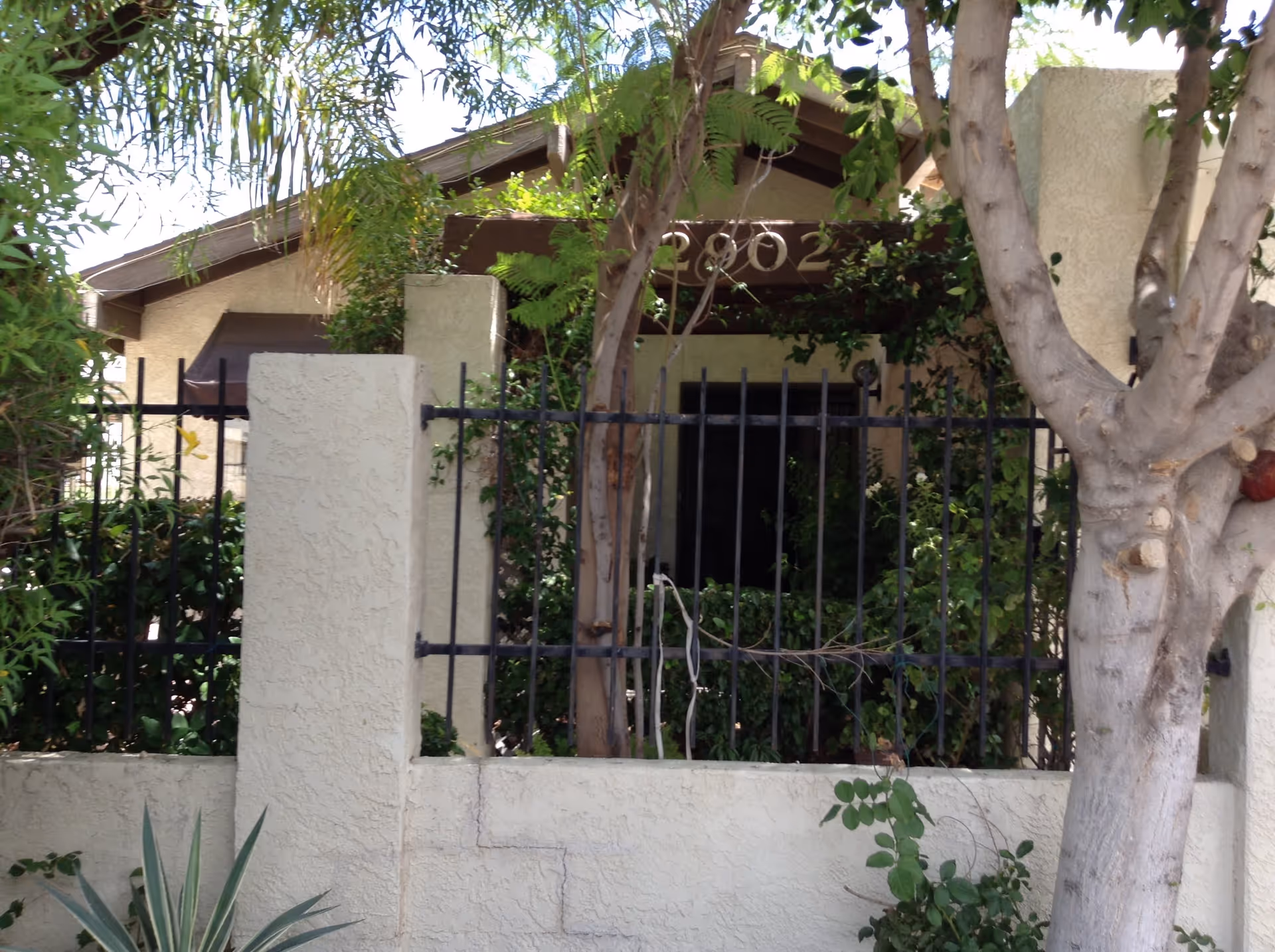 Exterior view of a building partially obscured by trees and bushes, with a beige stucco wall and black metal fence in front. The building has a peaked roof and the number 2902 is visible above the entrance.