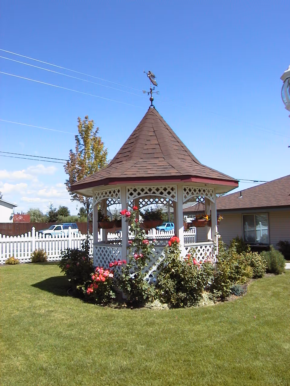 A white wooden gazebo with a brown shingled roof and a weather vane on top, surrounded by green grass and blooming rose bushes. In the background, there is a white picket fence, a house, and a clear blue sky.