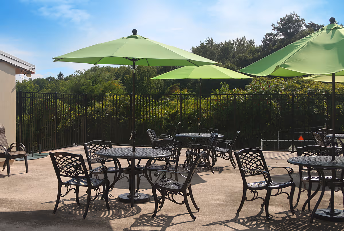 Outdoor patio with black metal tables and chairs shaded by large green umbrellas and trees in the background.