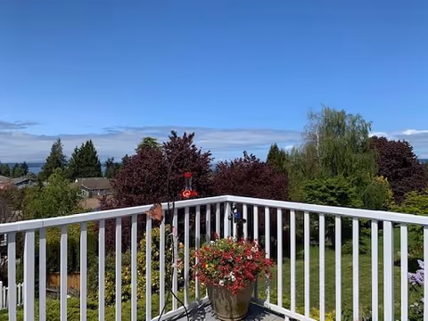 View of a green backyard garden with various trees and shrubs, seen from a white wooden balcony railing. A flower pot with red and pink flowers is placed on the balcony, and the sky is clear and blue.