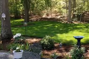 A peaceful outdoor garden area with green grass, trees, and various plants. There is a black metal table with a white potted plant on it, a bird feeder hanging from a tree, and a blue birdbath on the right side.