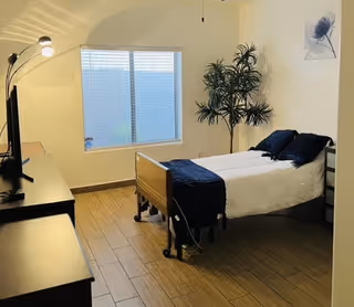 A simple bedroom with a single bed covered in white and dark blue bedding, a tall potted plant in the corner, a window with closed blinds, a dresser with a lamp, and a framed picture on the wall.