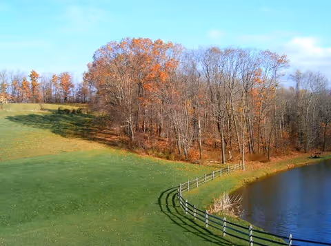A scenic outdoor view showing a grassy field bordered by a wooden fence curving around a small pond. Behind the pond, there is a line of trees with autumn-colored leaves under a clear blue sky.