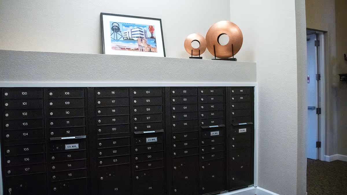 A wall of black mailboxes with numbered slots in a senior living facility. Above the mailboxes are two decorative round copper-colored sculptures and a framed picture of buildings. The area has beige walls and carpeted flooring, with a doorway visible on the right side.