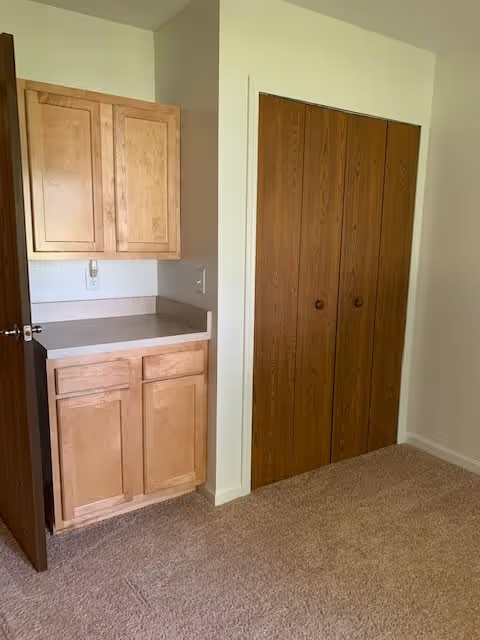 Interior view of a room with beige carpet, light-colored walls, a wooden cabinet with countertop on the left, and a closed wooden closet with double doors on the right.