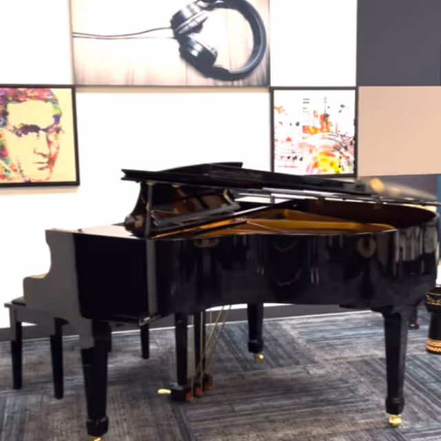 Black grand piano in a carpeted interior room with framed artwork on the wall.