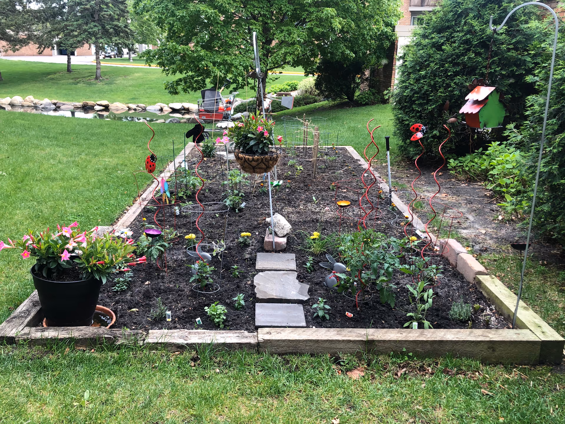 A raised garden bed with various young plants and flowers, decorated with red spiral plant supports and garden ornaments including ladybugs and a small birdhouse. The garden is surrounded by green grass, trees, and a small pond with rocks in the background.