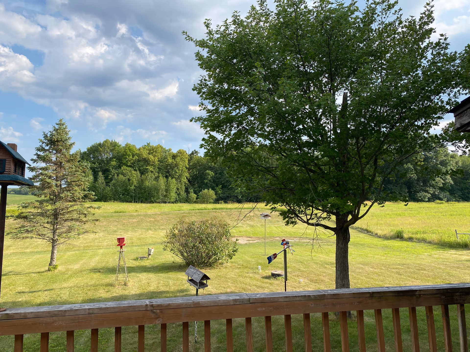View of a grassy backyard with a wooden railing in the foreground, several bird feeders and a bush in the middle, a large tree to the right, and a forested area in the background under a partly cloudy sky.