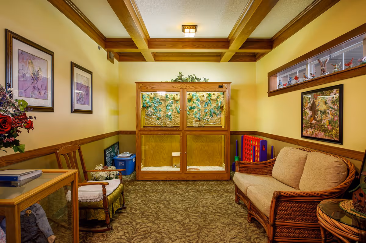 A cozy interior room with yellow walls and wooden trim, featuring a large wooden enclosure with plants inside at the center back wall. The room has a patterned carpet, a cushioned wicker loveseat on the right, a wooden chair with a cushion on the left, framed artwork on the walls, and a small glass-top wicker table. There are decorative bird figurines displayed on a shelf near the ceiling on the right side.