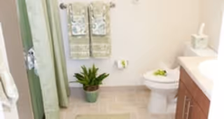A clean and well-lit bathroom featuring a toilet, a wooden vanity with a countertop, a green potted plant on the floor, two green towels hanging on a wall rack, a green shower curtain, and a beige bath mat on the floor.