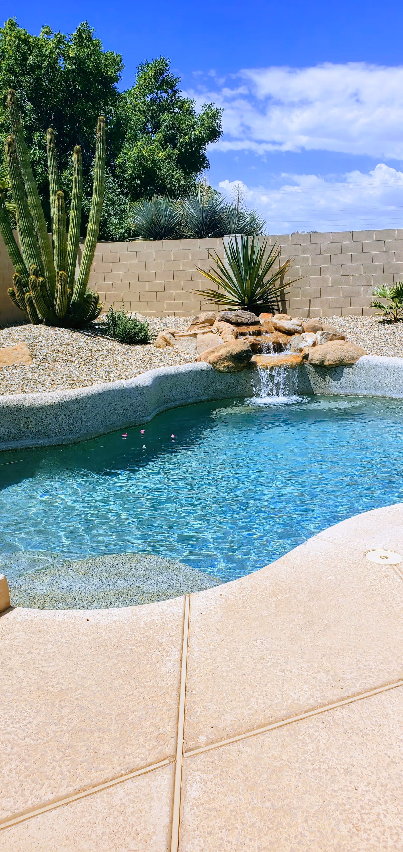 A backyard swimming pool with clear blue water and a small rock waterfall feature. Surrounding the pool are desert plants including a tall cactus, agave, and other succulents, with a beige stone patio in the foreground and a tan brick wall in the background under a blue sky with some clouds.