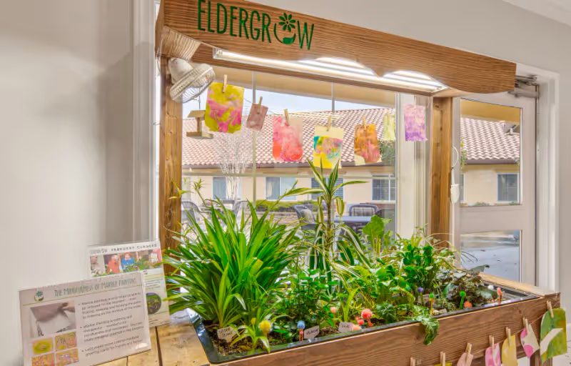 Indoor gardening display labeled "ELDERGROW" with lush plants and hanging artwork in front of a large window.