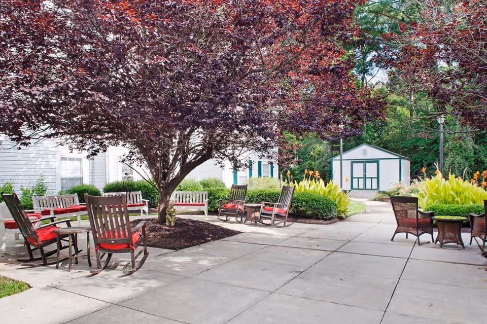 Outdoor patio area with several wooden rocking chairs and benches with red cushions arranged around a large tree with dark purple leaves. There are green bushes and plants surrounding the paved area, and a small white shed with green trim is visible in the background.