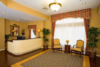 Reception desk with curved counter, seating area, plants, and large window with patterned curtains.