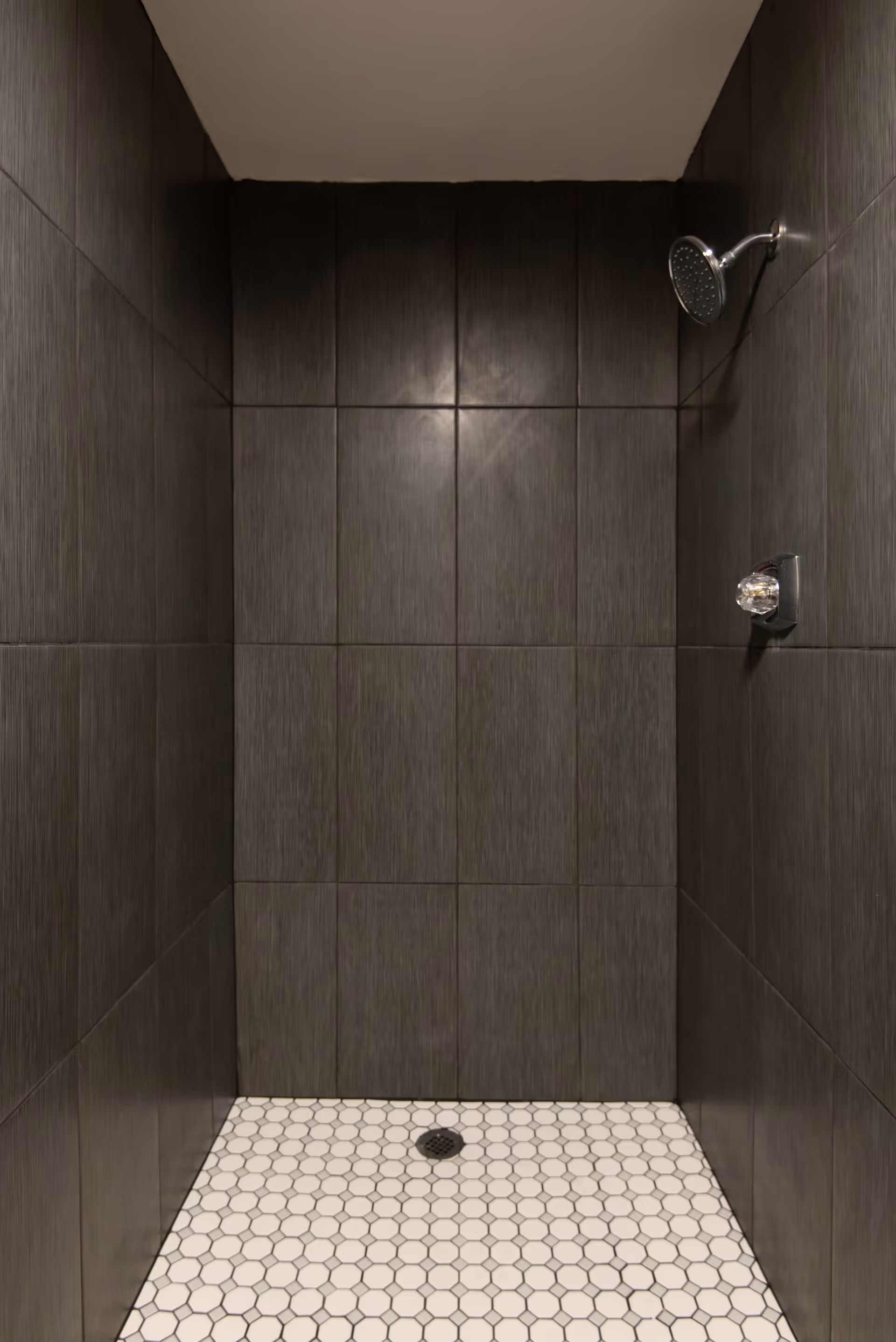 A shower area with dark gray tiled walls and a white hexagonal tiled floor. There is a silver showerhead and a clear handle on the right wall.