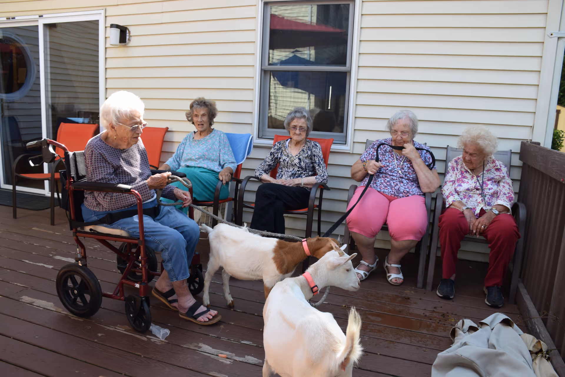 Five elderly women sitting on chairs on a wooden deck outside a building, interacting with two small goats. One woman is seated in a wheelchair holding a leash, while another woman also holds a leash attached to one of the goats. The women appear engaged and relaxed in the outdoor setting.