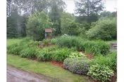 Well-maintained garden bed with various shrubs, hostas, and a small decorative wooden well surrounded by trees.