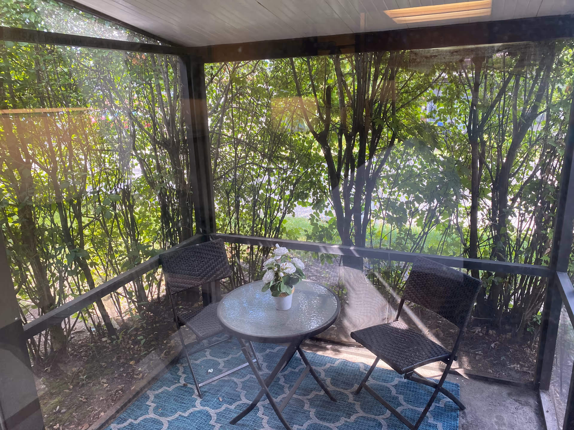 A small screened-in porch area with two black woven chairs and a round glass-top table with a white potted flower on it. The porch is surrounded by green leafy bushes and has a blue patterned outdoor rug on the floor.
