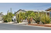 Front exterior of a single-story desert building with cactus and palm landscaping along a paved street.