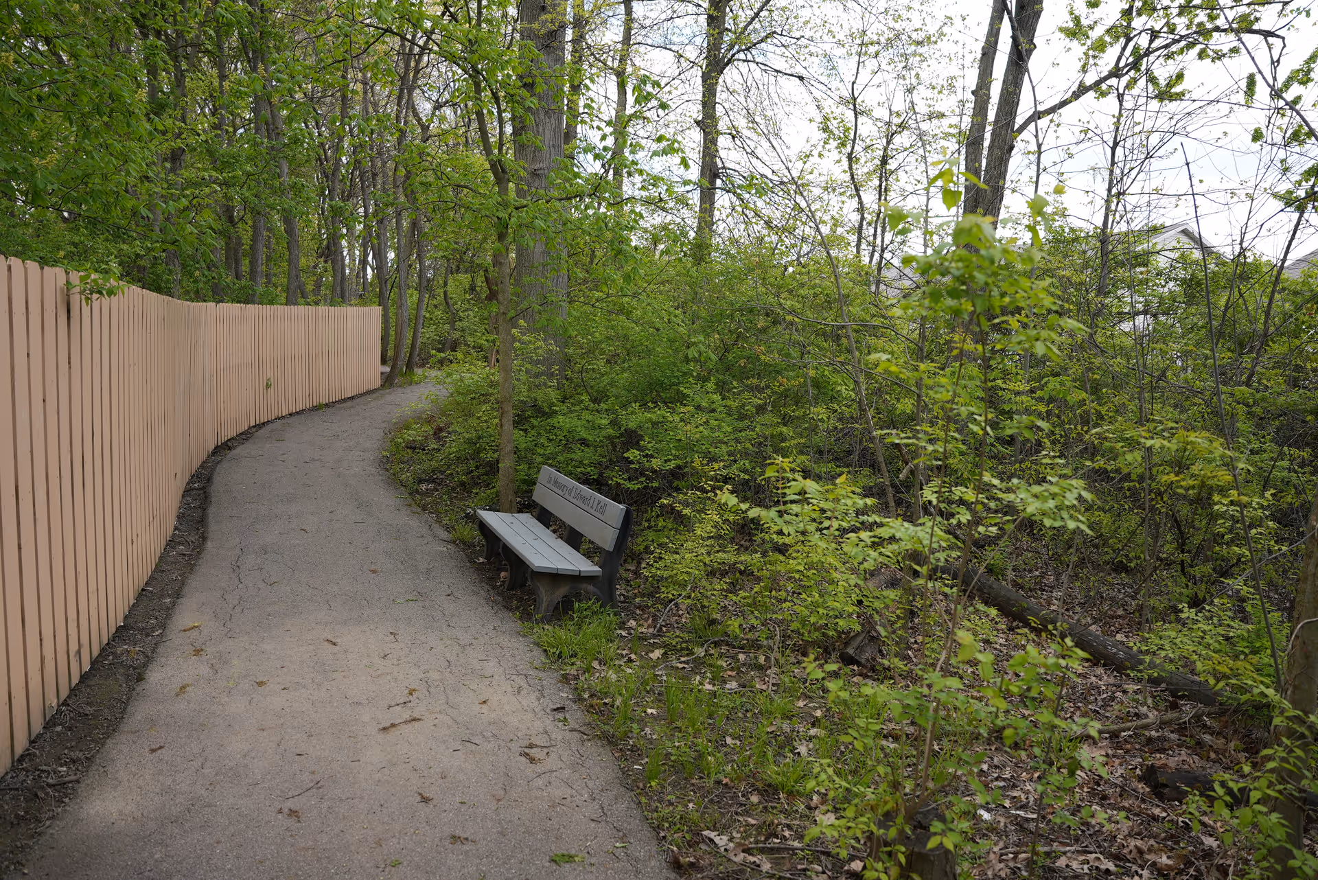 A winding paved pathway bordered by a tall wooden fence on the left and dense green trees and bushes on the right. A bench is placed along the path near the trees.