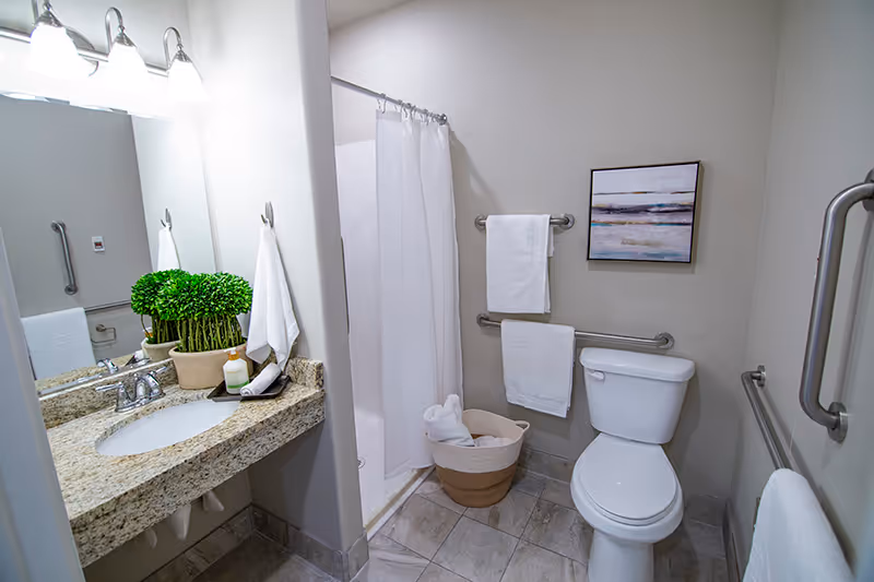 A clean and accessible bathroom with a granite countertop sink, a mirror with three lights above, a small green plant on the counter, a white shower curtain, a toilet with grab bars on the walls, white towels hanging on the bars, a basket with rolled towels on the floor, and a framed abstract painting on the wall.