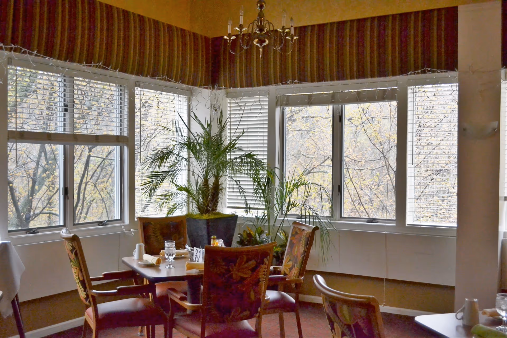 A dining area with a square wooden table surrounded by four upholstered chairs with floral patterns. The table is set with glasses, napkins, and condiments. Large windows with white blinds and striped valances let in natural light and show trees outside. There are two potted plants near the windows and a chandelier hanging from the ceiling above the table.