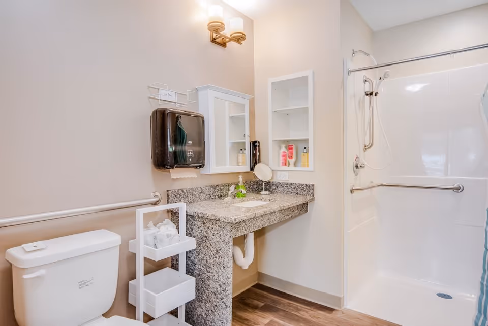 A clean and accessible bathroom featuring a white toilet with a grab bar beside it, a granite countertop sink with a mirror cabinet above, a wall-mounted soap dispenser, and a walk-in shower with grab bars and a handheld showerhead. The floor has wood-style flooring and the walls are painted in a light beige color.