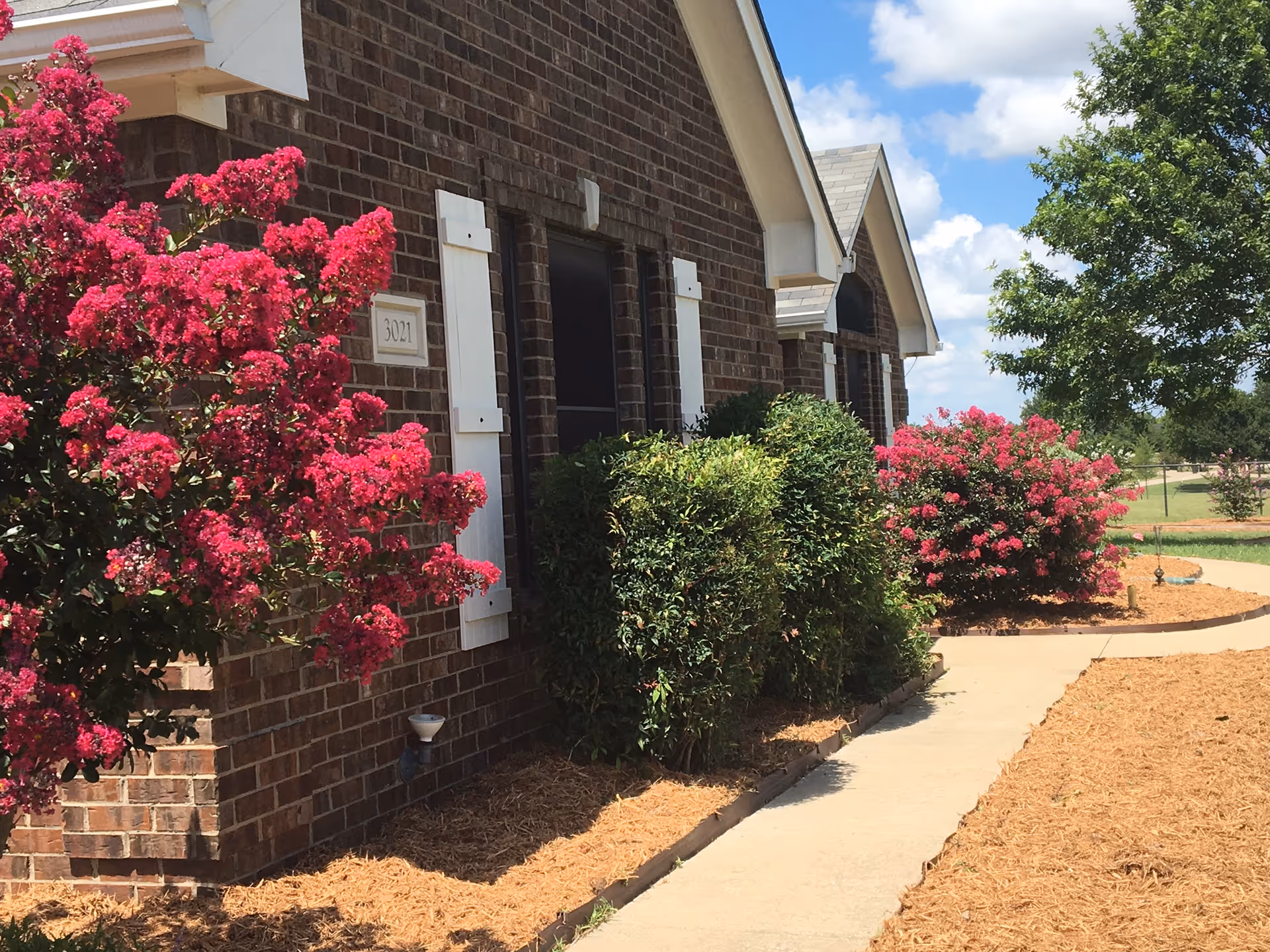 Exterior view of a brick building with white window shutters, surrounded by vibrant pink flowering bushes and green shrubs along a concrete walkway under a partly cloudy sky.