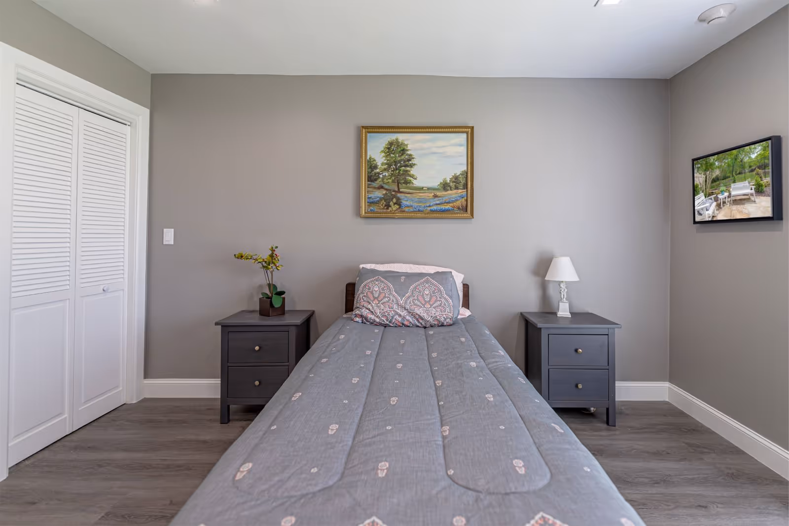 A simple bedroom with a single bed centered against a gray wall. The bed has a gray comforter with a subtle pattern and a decorative pillow. On either side of the bed are dark wooden nightstands; the left one has a small plant and the right one has a white table lamp. Above the bed hangs a framed landscape painting, and to the right on the wall is a flat-screen TV displaying an outdoor scene. The floor is a light wood laminate, and there is a white closet door on the left side of the room.