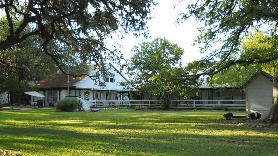 A large grassy yard with trees providing shade and a white wooden fence surrounding a white house with a brown roof. There is a small shed on the right side and two small black and white animals near the shed. The scene is peaceful and sunlit.