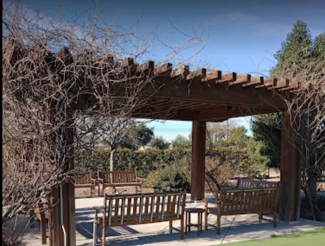 Outdoor seating area with wooden benches and a wooden pergola structure surrounded by leafless trees and greenery under a clear blue sky.