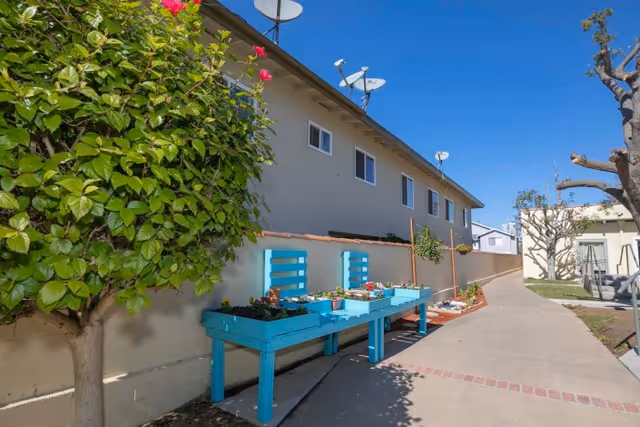 Sunlit outdoor walkway beside a two-story building with turquoise raised planters, flowering plants, and satellite dishes on the roof.