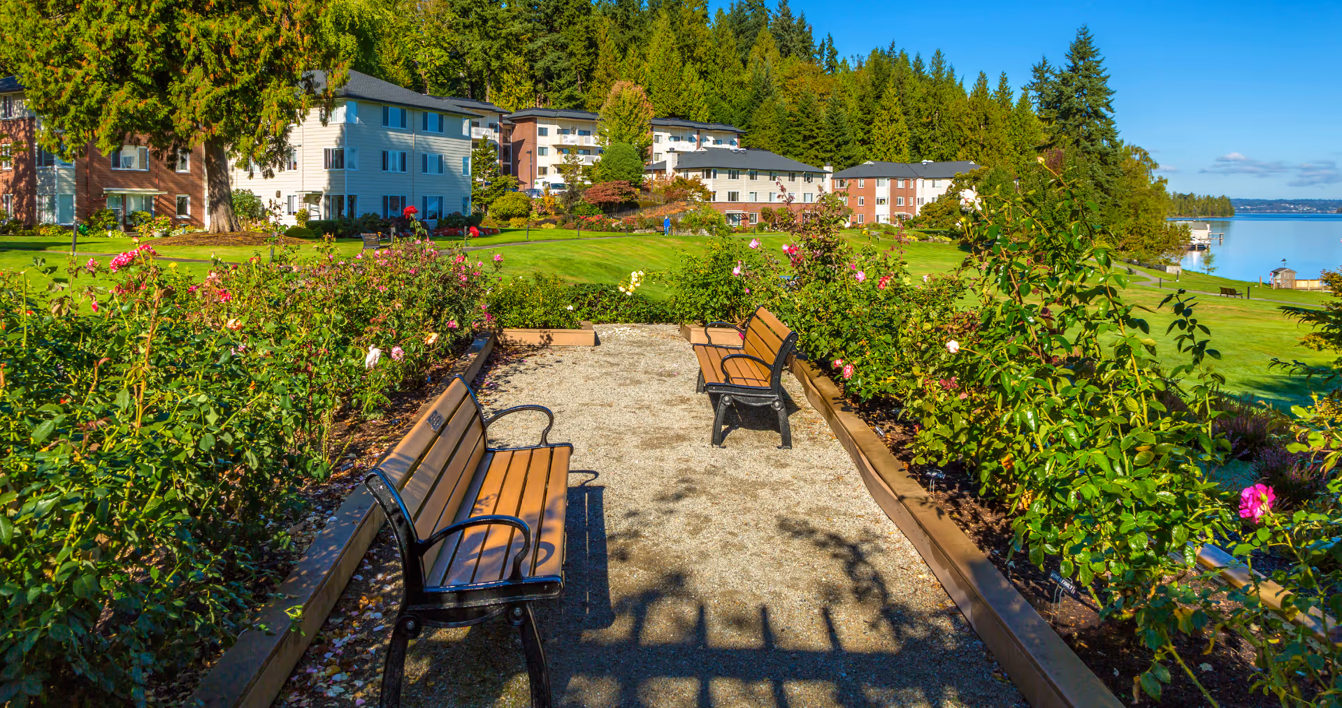 A peaceful outdoor garden area with two wooden benches facing each other along a gravel path, surrounded by blooming rose bushes. In the background, there are multi-story residential buildings and tall trees, with a view of a calm body of water under a clear blue sky.