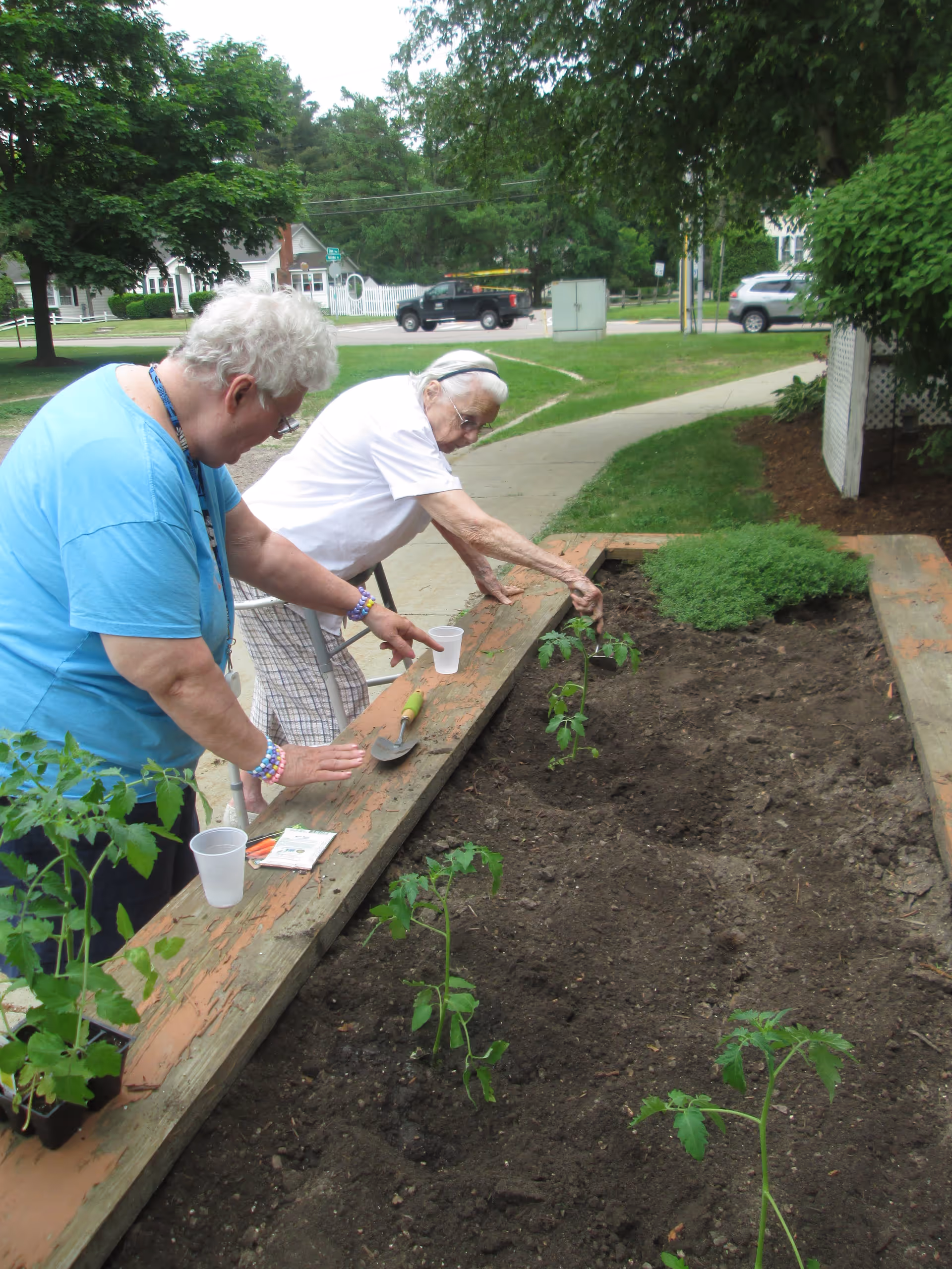 Two elderly women are gardening outdoors at Gazebo Apartments. One woman in a blue shirt is standing and pointing at the soil, while the other woman in a white shirt is leaning over the garden bed, planting a small tomato plant. Gardening tools and seed packets are on the wooden edge of the raised garden bed. Trees, grass, and a sidewalk are visible in the background.