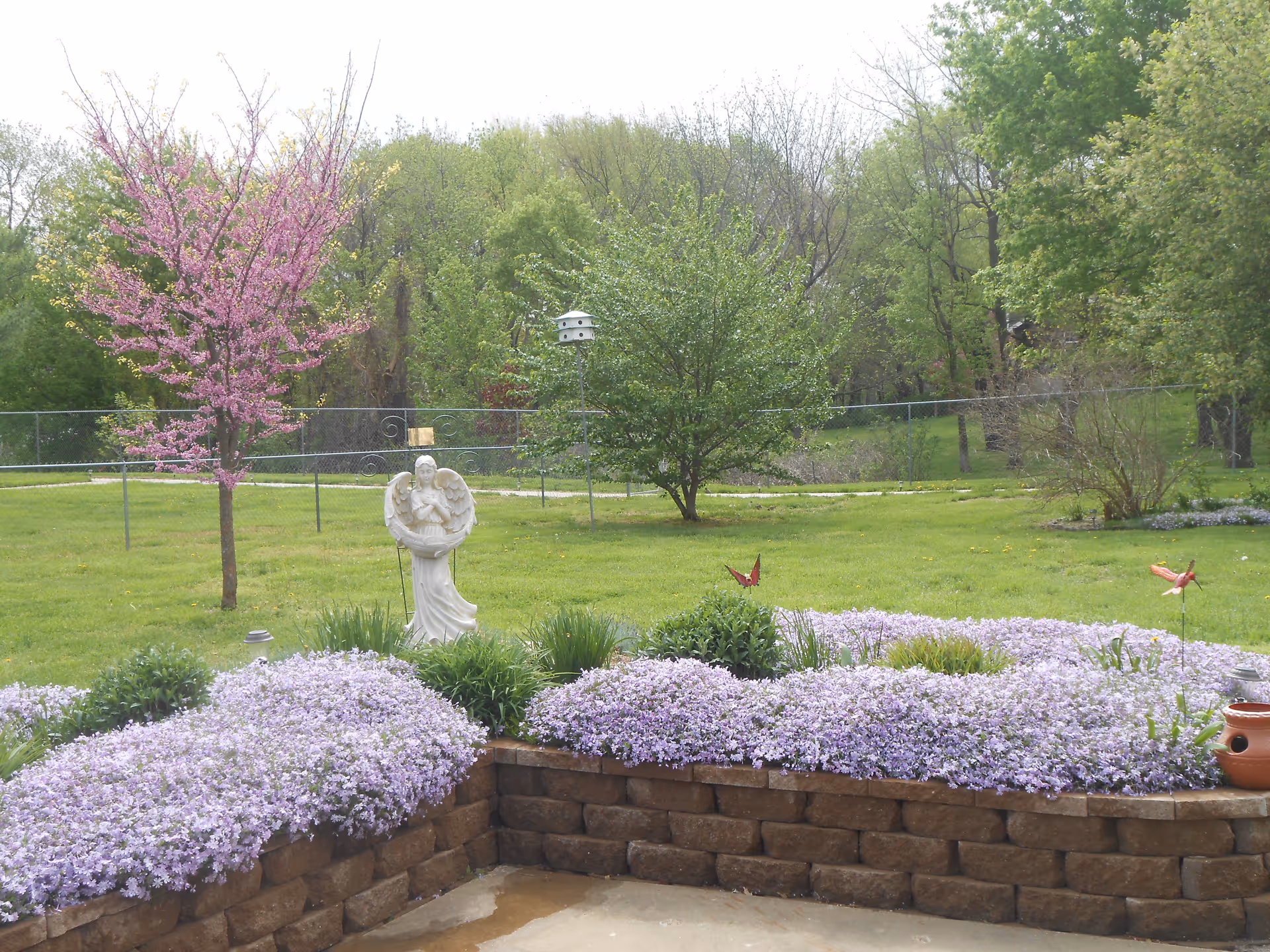 A garden area with a raised flower bed filled with light purple flowers and green shrubs. In the background, there is a small tree with pink blossoms, a green leafy tree, a birdhouse on a pole, and a white angel statue holding a child. The garden is surrounded by a grassy lawn and trees in the distance.