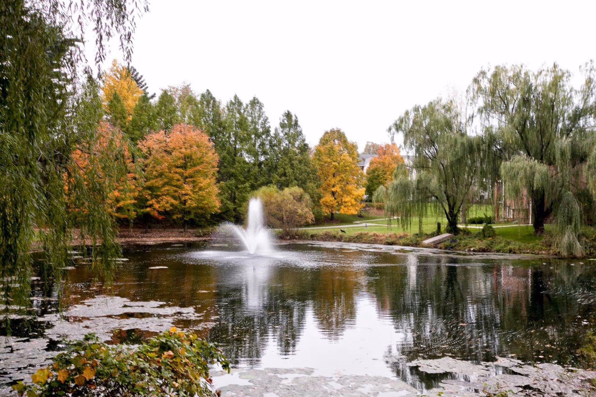 A serene outdoor scene featuring a pond with a water fountain in the center, surrounded by trees with autumn foliage in shades of green, yellow, and orange. There is a grassy area and a walking path visible in the background.