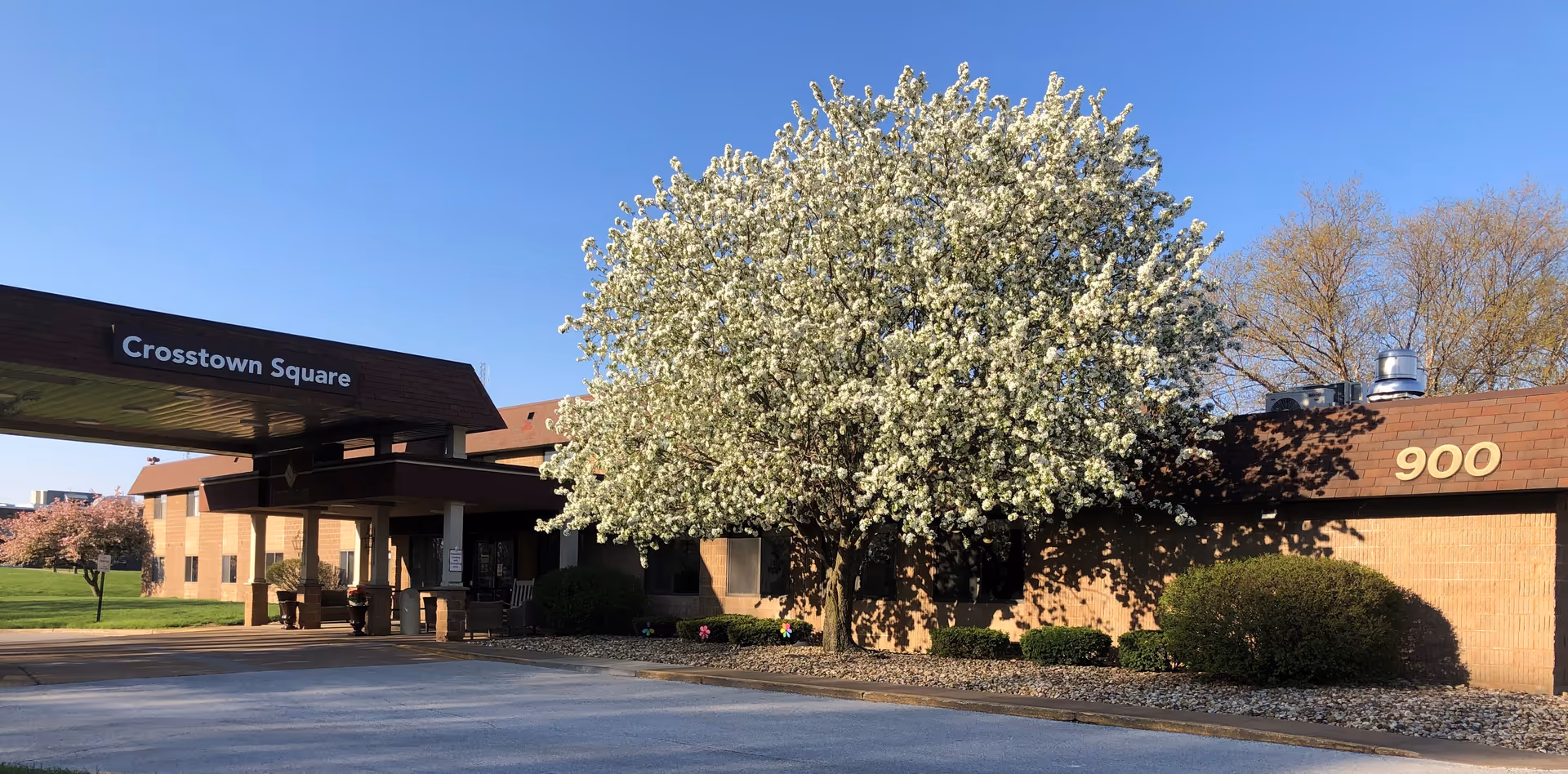 Exterior view of Crosstown Square Senior Living facility showing a brick building with the number 900 on the wall, a covered entrance with the facility name displayed, and a large tree with white blossoms in front of the building under a clear blue sky.