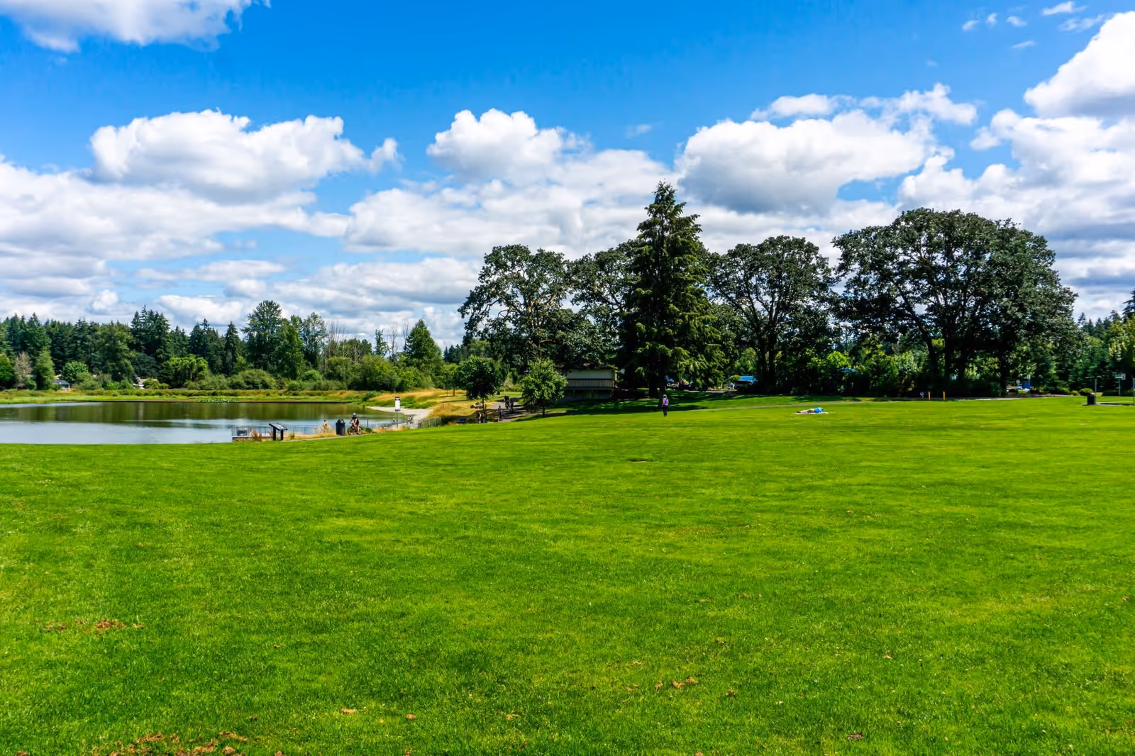 A large green grassy field with a few people scattered around, some near a small lake on the left side. The background features tall trees under a partly cloudy blue sky.