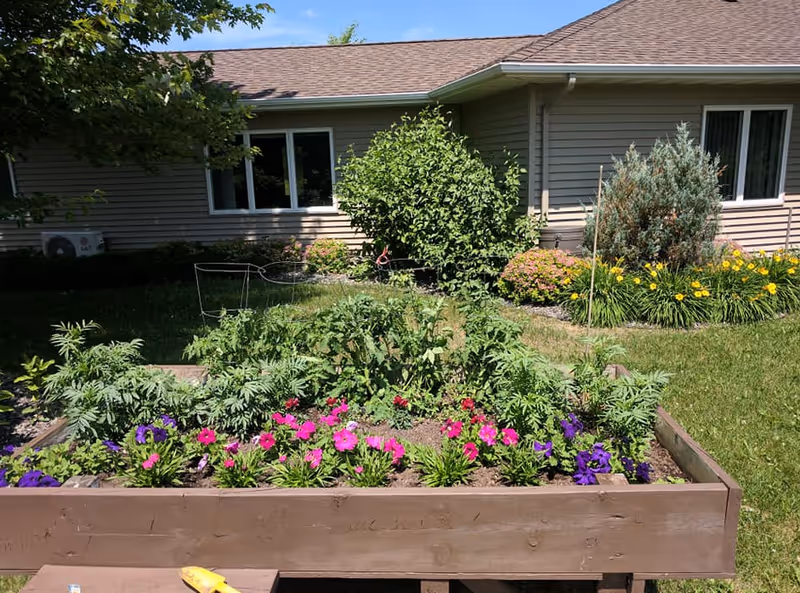 Raised wooden garden bed with colorful flowers in front of a beige, single-story building