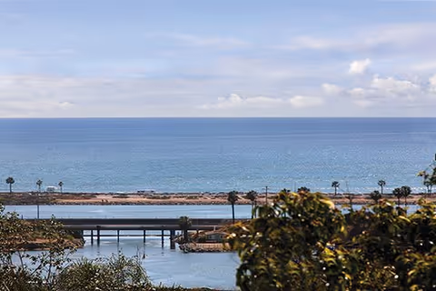View of a calm ocean with a clear sky and a few clouds. In the foreground, there are trees and a bridge crossing over water, with a few palm trees along the shoreline.