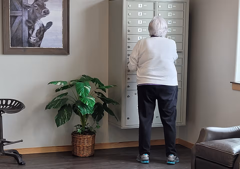 An elderly person with white hair wearing a white sweater and black pants is standing and accessing a set of wall-mounted mailboxes in a room. To the left, there is a framed painting of two cows and a green potted plant in a wicker basket. The room has gray walls, dark flooring, and a leather chair partially visible on the right.