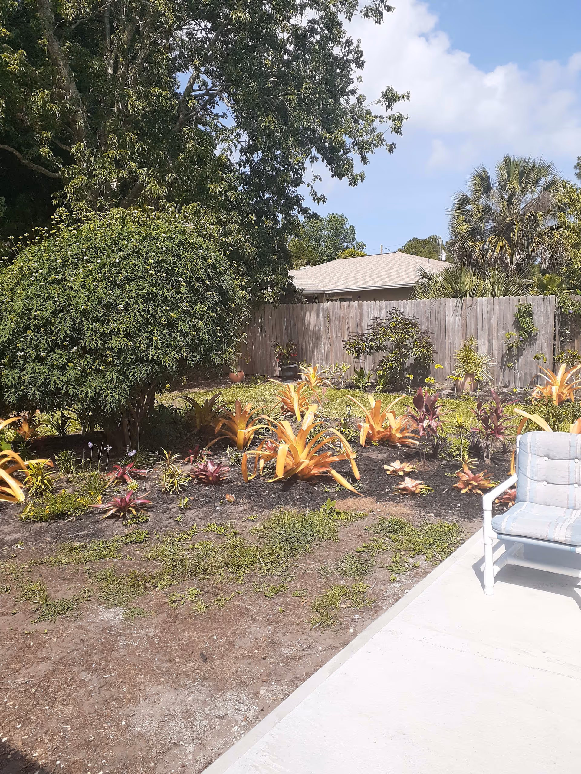 Outdoor garden area with various plants and shrubs, a wooden fence in the background, and a cushioned chair on a concrete patio under a partly cloudy sky.