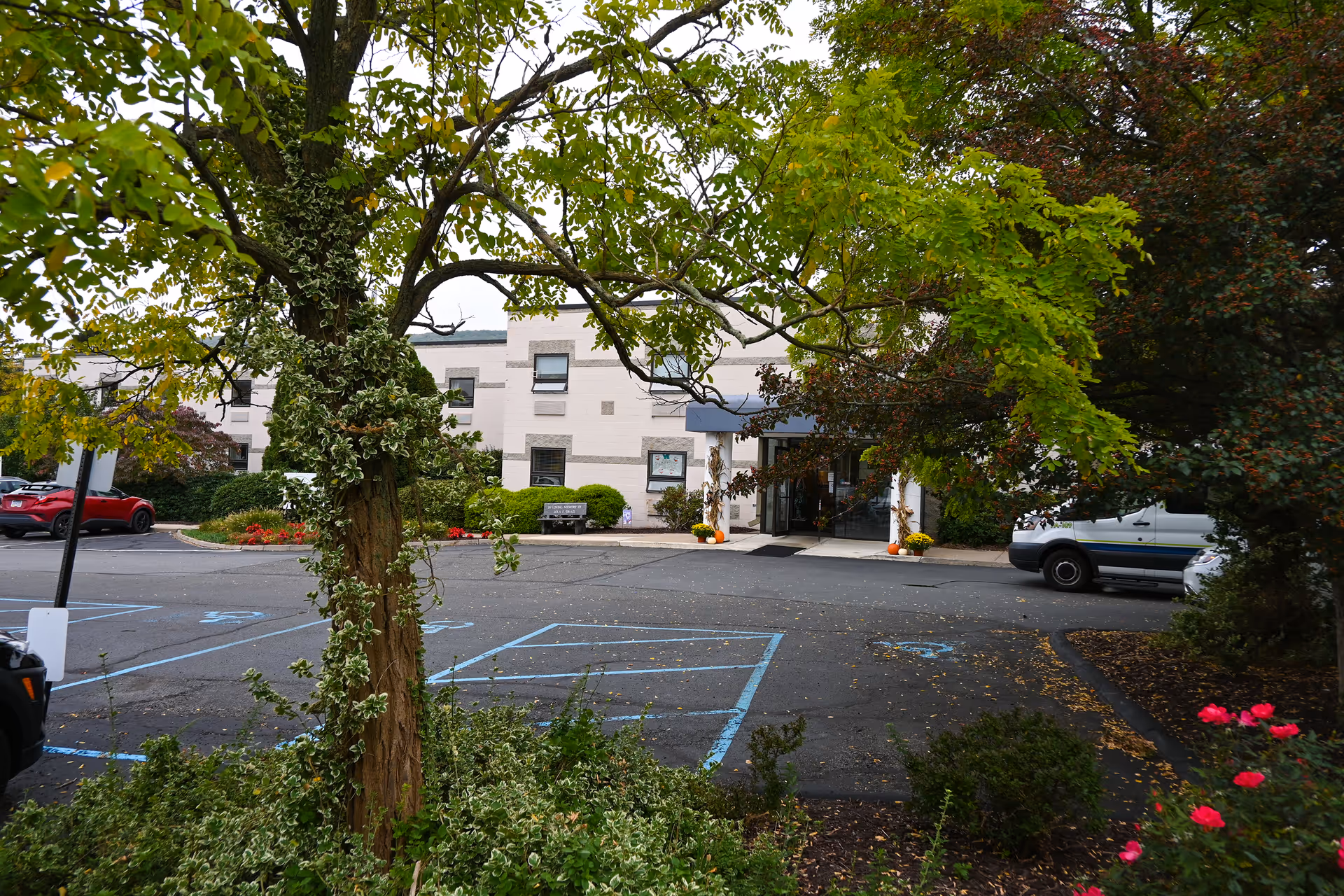 Front entrance of a senior living building with a tree in the foreground, parking spaces, and parked vehicles.