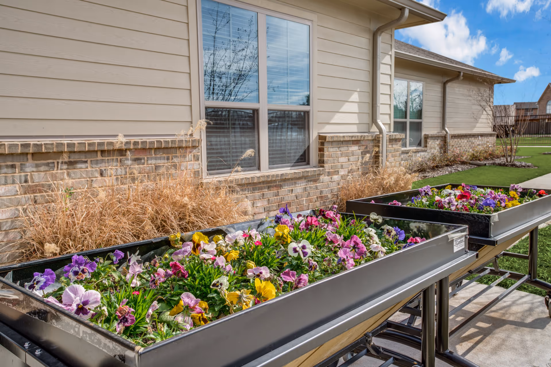 Two raised garden beds filled with colorful flowers, placed outdoors next to a beige building with brick accents and windows. The sky is blue with some clouds, and there is a grassy area and a sidewalk nearby.