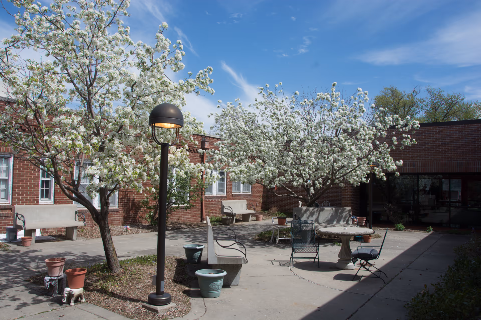 Courtyard with blossoming trees, benches, a patio table and chairs in front of a brick building.