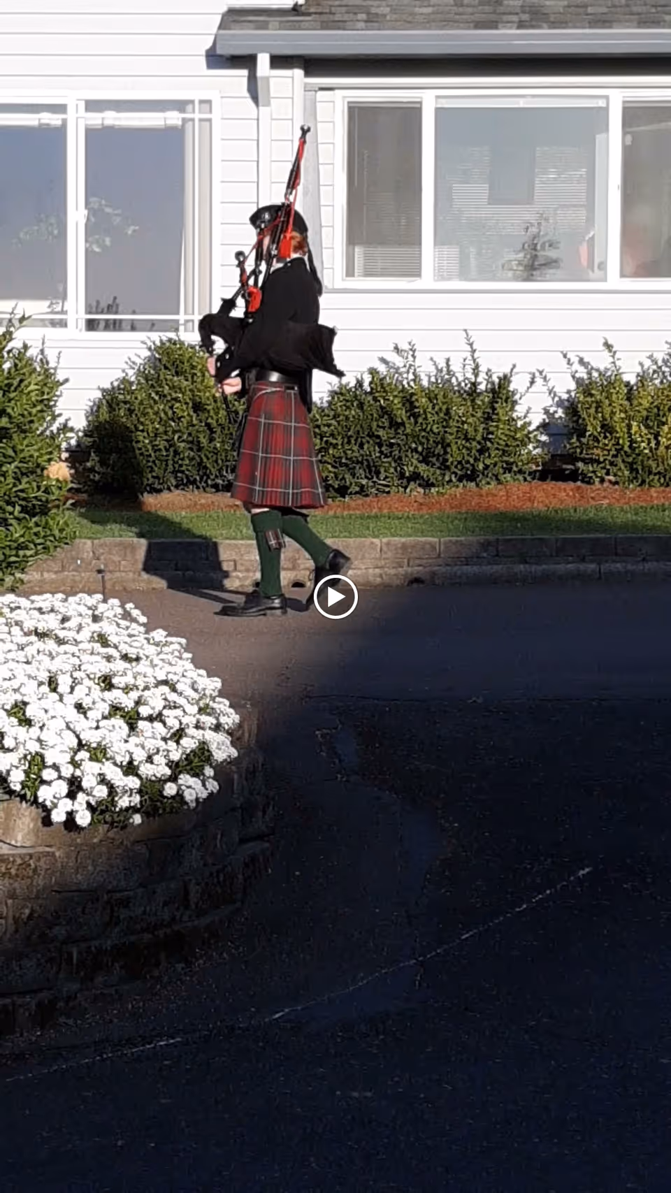 A person dressed in traditional Scottish attire, including a red tartan kilt, playing bagpipes while walking outside near a white building with windows and surrounded by green bushes and white flowers.
